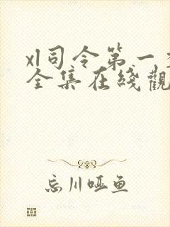 xl司令第一季全集在线观看免费播