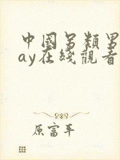 中国另类男同gay在线观看