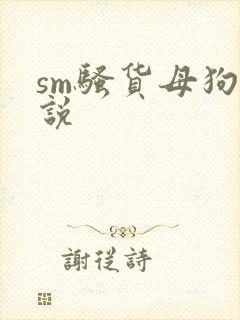 sm骚货母狗小说封面