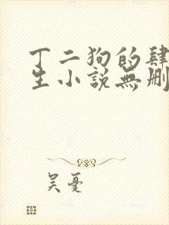 丁二狗的肆意人生小说无删减