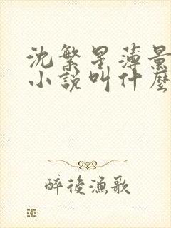 沈繁星薄景川的小说叫什么名字