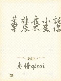 叶非夜小说亿万星辰不及你