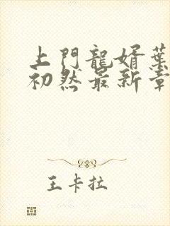 上门龙婿叶辰萧初然最新章节全文免费阅读