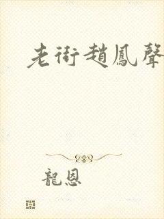 老街赵凤声2封面