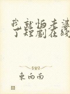 我就怕老婆怎么了短剧在线