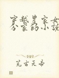 穿越农家女种田分家的小说
