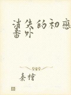 消失的初恋漫画番外