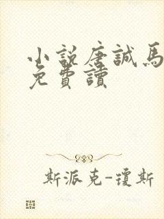 小说唐诚马玉婷免费读