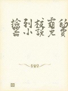 捡到校霸的遥控器小说免费阅读