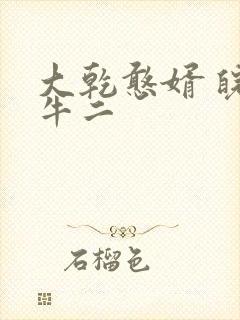 大乾憨婿 皖南牛二