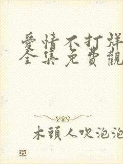 爱情不打烊短剧全集免费观看高清版封面