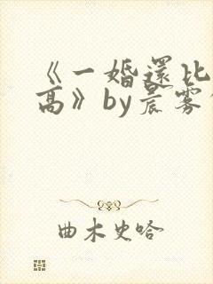 《一婚还比一婚高》by晨雾的光