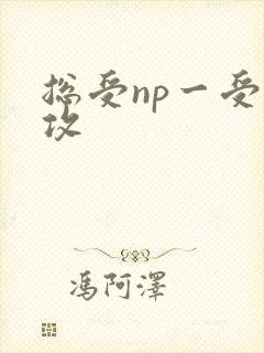 总受np一受多攻
