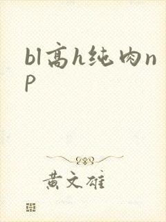 bl高h纯肉np