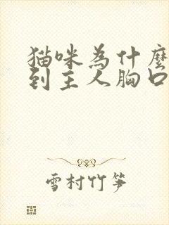 猫咪为什么爱爬到主人胸口上