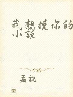 我想摸你的乳房小说