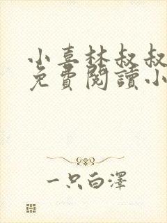 小喜林叔叔全文免费阅读小说封面