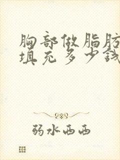 胸部做脂肪自体填充多少钱