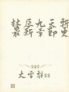 林辰九天斩神诀最新章节更新