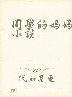 同学的妈妈胡姨小说
