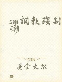 sm调教强制高潮