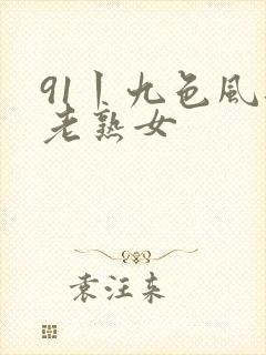 91丨九色风韵老熟女封面