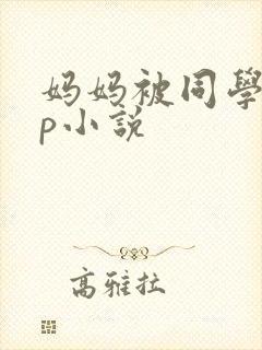 妈妈被同学玩三p小说封面