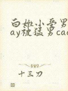 白嫩小受男男gay被猛男cao