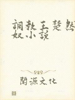 调教王楚然成肉奴小说