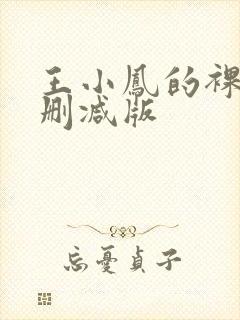 王小凤的裸体无删减版封面