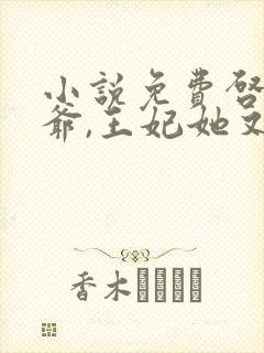 小说免费启禀王爷,王妃她又穷疯了