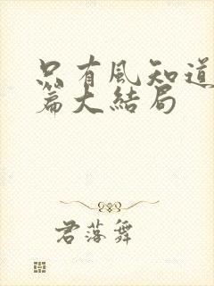 只有风知道番外篇大结局