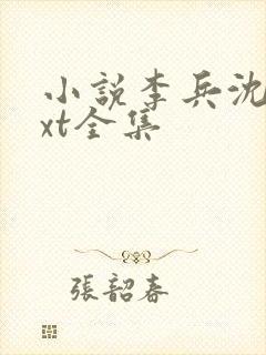 小说李兵沈思txt全集