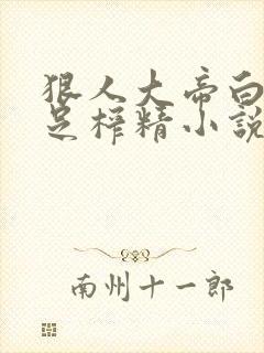 狠人大帝白丝玉足榨精小说封面