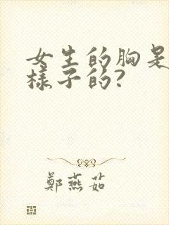 女生的胸是什么样子的?