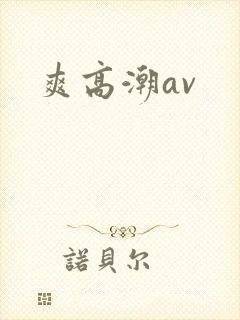 爽高潮av