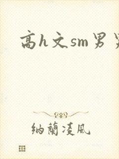 高h文sm男男封面