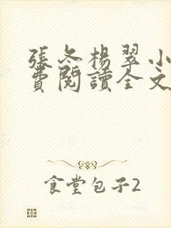 张冬杨翠小说免费阅读全文最新章节封面