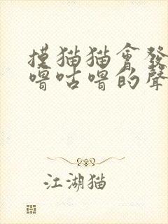 摸猫猫会发出咕噜咕噜的声音