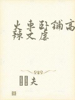 火车卧铺高h肉辣文虐