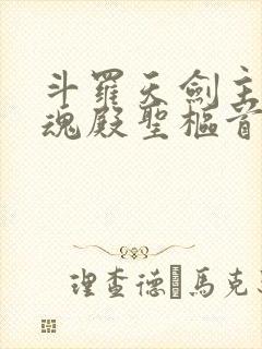 斗罗天剑主宰武魂殿圣枢首席