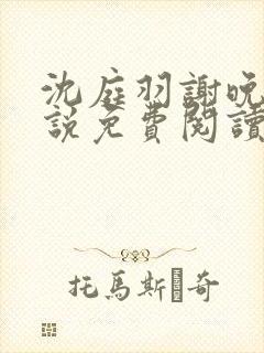 沈庭羽谢晚晚小说免费阅读最新章节封面