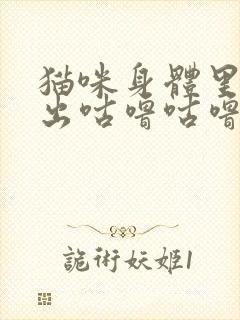 猫咪身体里面发出咕噜咕噜的声音