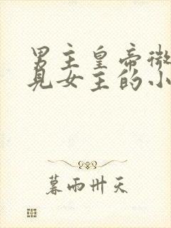男主皇帝微服遇见女主的小说