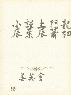 小说上门龙婿叶辰叶辰萧初然