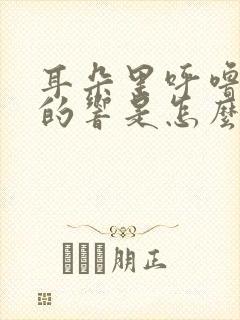 耳朵里呼噜呼噜的响是怎么回事