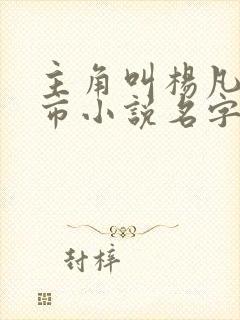 主角叫杨凡的都市小说名字