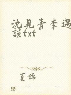沈见青李遇泽小说txt封面