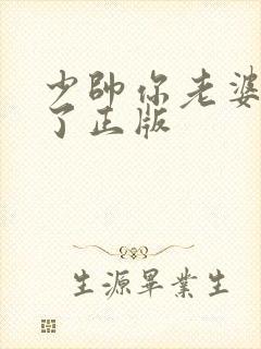 少帅你老婆又跑了正版