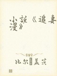 小说《追妻路漫漫》